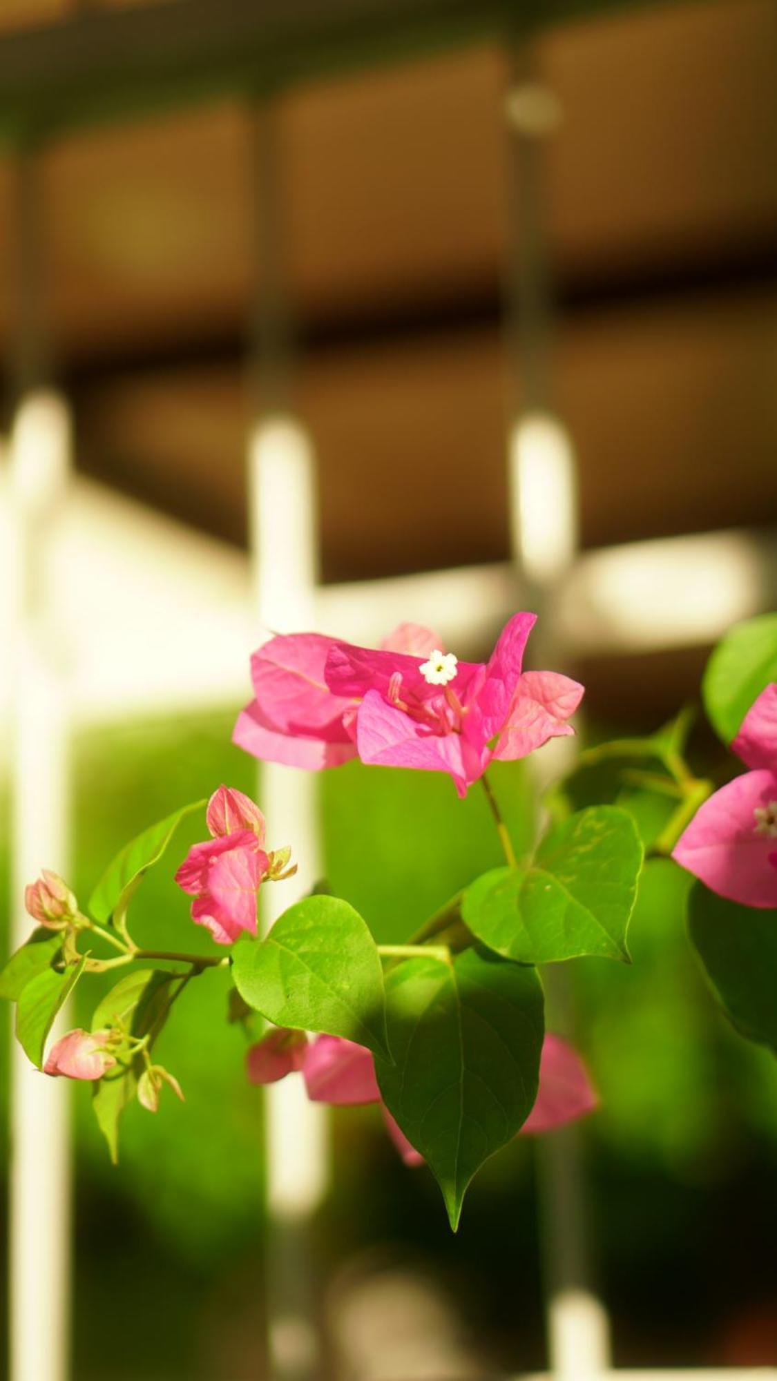 Poa Eco Hostel ปอร์โตอัลเลเกร ภายนอก รูปภาพ