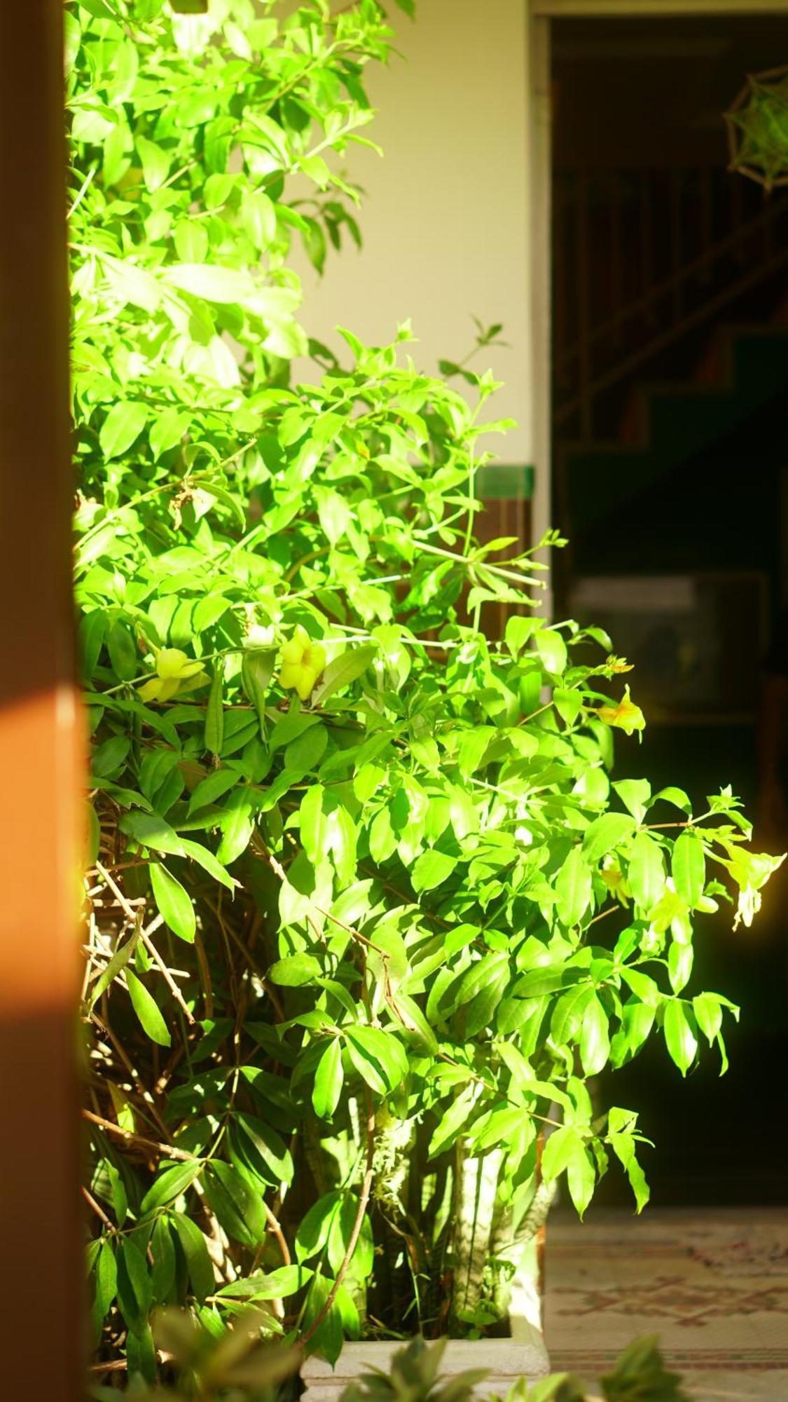 Poa Eco Hostel ปอร์โตอัลเลเกร ภายนอก รูปภาพ