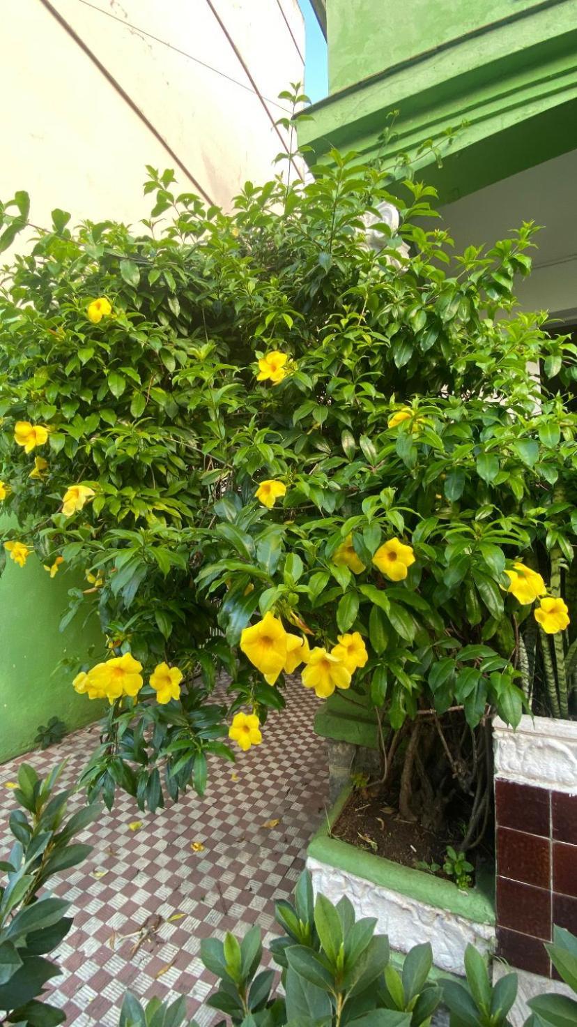 Poa Eco Hostel ปอร์โตอัลเลเกร ภายนอก รูปภาพ