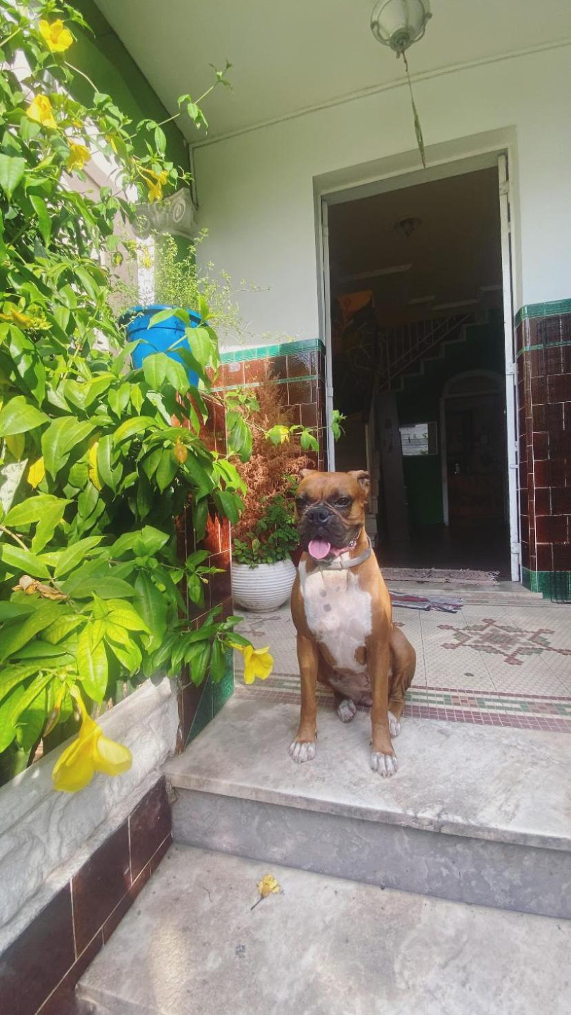 Poa Eco Hostel ปอร์โตอัลเลเกร ภายนอก รูปภาพ